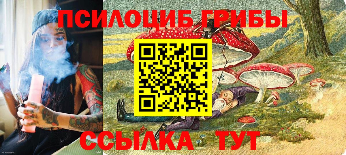 Псилоцибиновые грибы MAGIC MUSHROOMS  Вход с VPN  Южно-Сахалинск  Псилоцибиновые грибы Psilocybine cubensis 