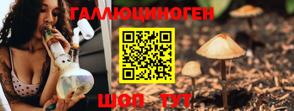 Галлюциногенные грибы GOLDEN TEACHER Южно-Сахалинск